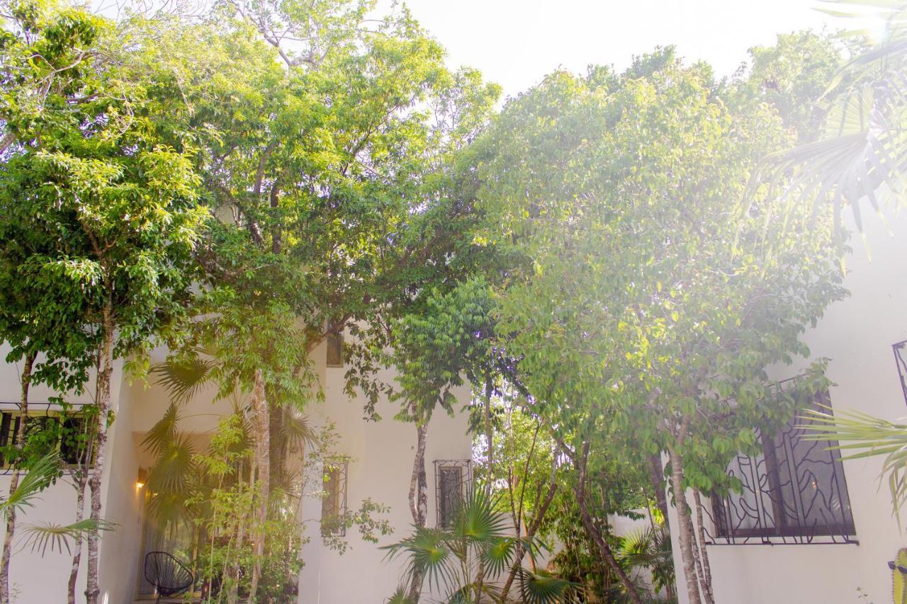 Buena Onda Residence Tulum Pueblo Buitenkant foto